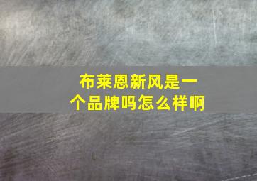 布莱恩新风是一个品牌吗怎么样啊