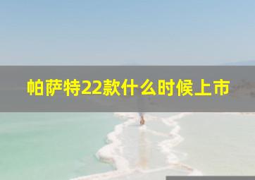 帕萨特22款什么时候上市