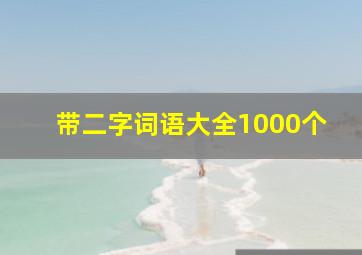 带二字词语大全1000个