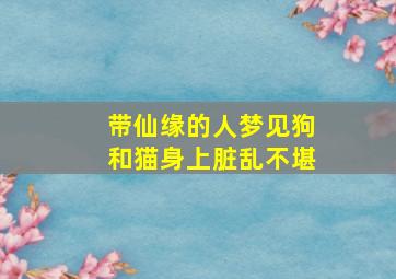 带仙缘的人梦见狗和猫身上脏乱不堪