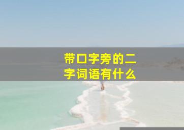 带口字旁的二字词语有什么