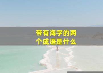 带有海字的两个成语是什么