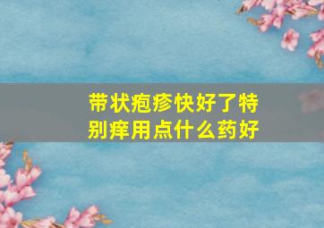 带状疱疹快好了特别痒用点什么药好