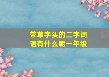 带草字头的二字词语有什么呢一年级