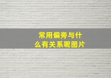 常用偏旁与什么有关系呢图片