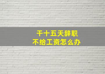 干十五天辞职不给工资怎么办