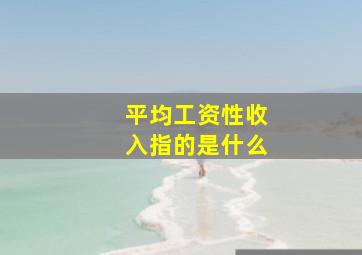 平均工资性收入指的是什么