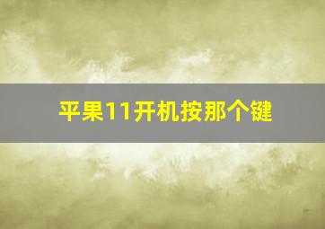 平果11开机按那个键