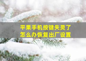 平果手机按键失灵了怎么办恢复出厂设置