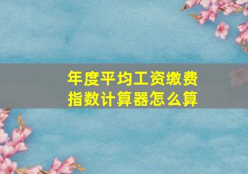 年度平均工资缴费指数计算器怎么算