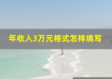 年收入3万元格式怎样填写