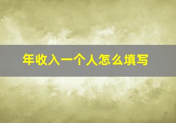 年收入一个人怎么填写