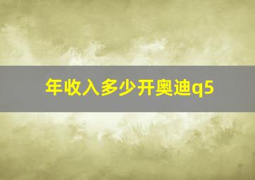 年收入多少开奥迪q5