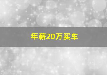 年薪20万买车