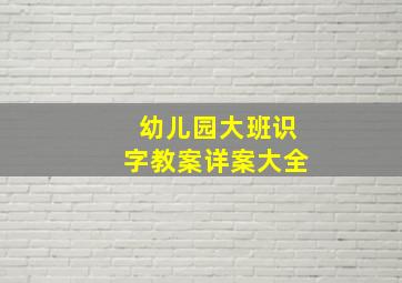 幼儿园大班识字教案详案大全