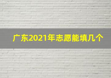 广东2021年志愿能填几个