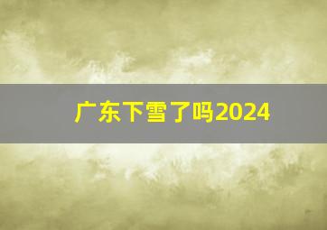 广东下雪了吗2024