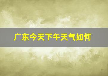 广东今天下午天气如何