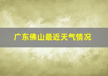 广东佛山最近天气情况