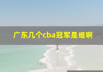 广东几个cba冠军是谁啊