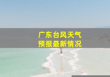 广东台风天气预报最新情况