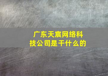 广东天宸网络科技公司是干什么的