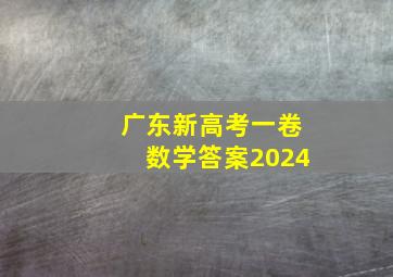 广东新高考一卷数学答案2024