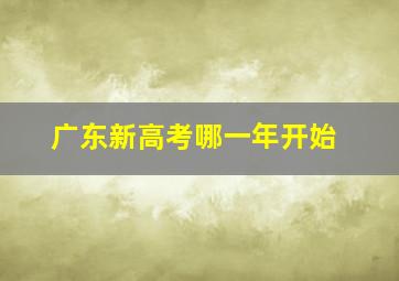 广东新高考哪一年开始