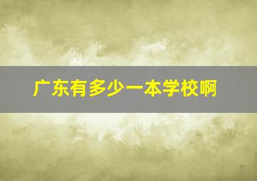 广东有多少一本学校啊