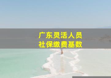 广东灵活人员社保缴费基数