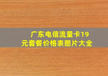 广东电信流量卡19元套餐价格表图片大全