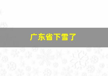 广东省下雪了