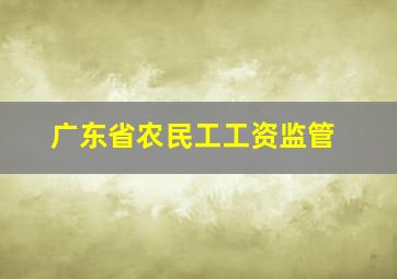 广东省农民工工资监管