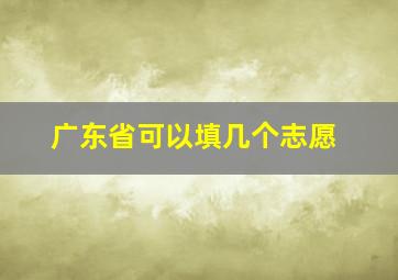 广东省可以填几个志愿