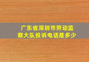 广东省深圳市劳动监察大队投诉电话是多少