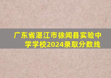 广东省湛江市徐闻县实验中学学校2024录取分数线