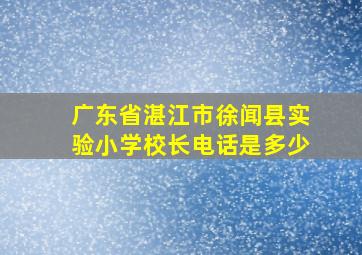 广东省湛江市徐闻县实验小学校长电话是多少