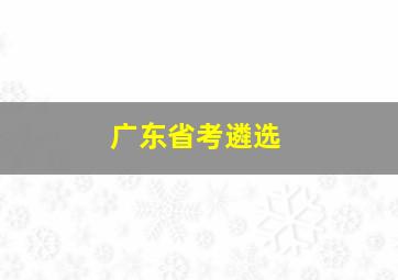 广东省考遴选