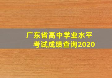 广东省高中学业水平考试成绩查询2020