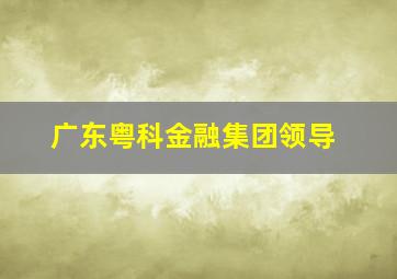 广东粤科金融集团领导