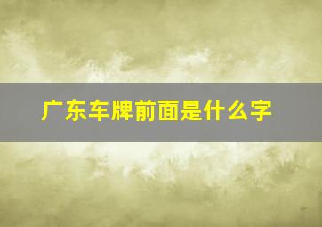 广东车牌前面是什么字