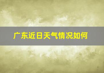 广东近日天气情况如何