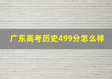 广东高考历史499分怎么样