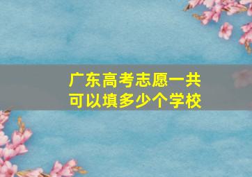 广东高考志愿一共可以填多少个学校