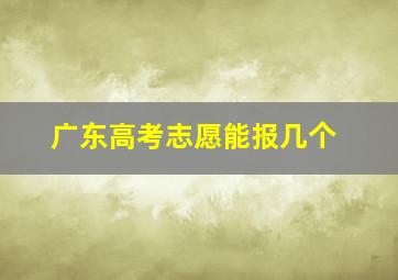 广东高考志愿能报几个