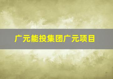 广元能投集团广元项目