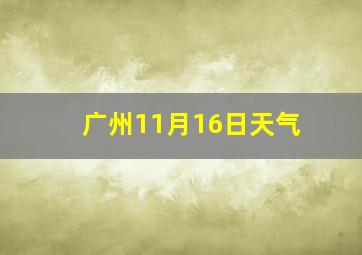 广州11月16日天气