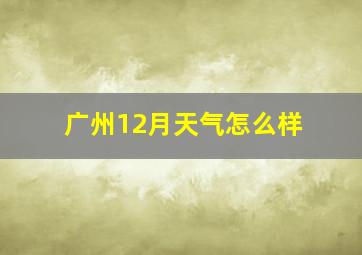 广州12月天气怎么样