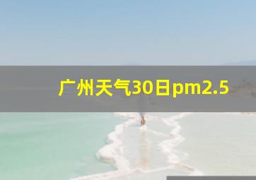 广州天气30日pm2.5