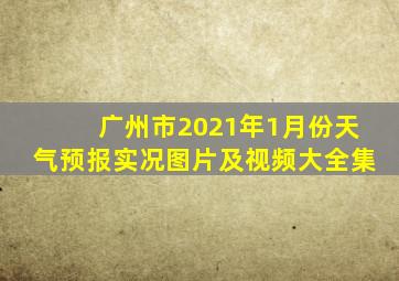 广州市2021年1月份天气预报实况图片及视频大全集